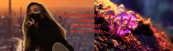 соль ск Вяземский