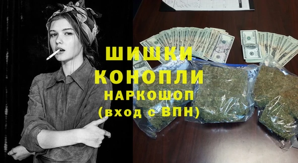 соль ск Вяземский