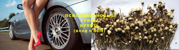 соль ск Вяземский