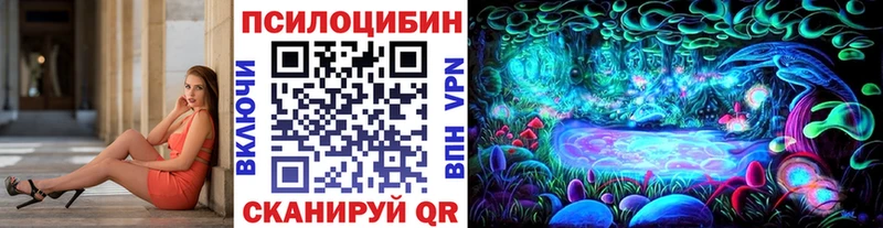 площадка телеграм  Ленинградская  Галлюциногенные грибы Psilocybe 