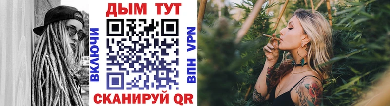 Конопля OG Kush Ленинградская